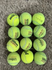 Mixed Lot 12 Used Practice Tennis Balls Penn Wilson Dunlop Dogs Chairs Schools