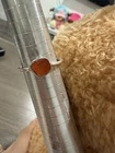 Vintage sterling silver 925 ring Size 7 Carnelian Raw Orange Color Stone