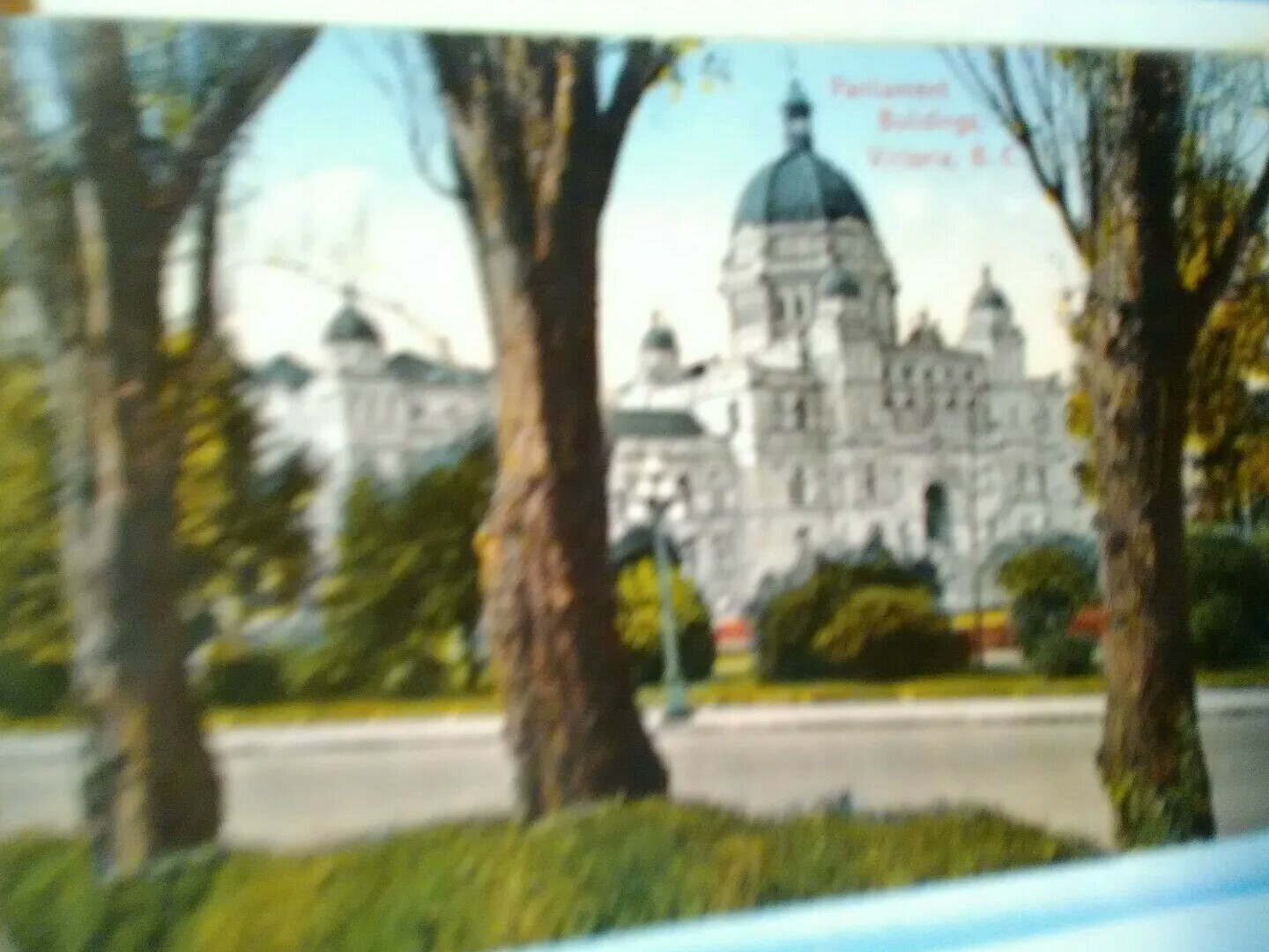 Picture 12 of 12