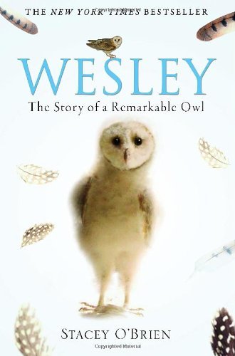 Wesley: The Story of a Remarkable Owl,Stacey O'Brien