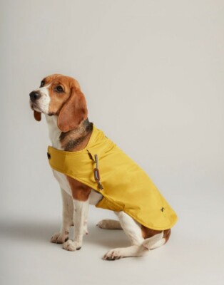 water resistant dog jacket