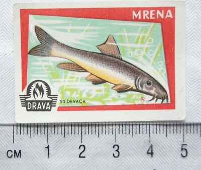 Vintage Matchbox Label - Drau - Fisch - Mrena