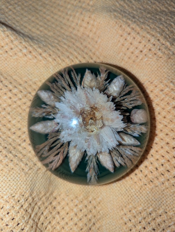 Vintage SKIPNESS CRAFT WORKSHOPS  MCM Lucite Acrylic Paperweight w/ Dried Flower