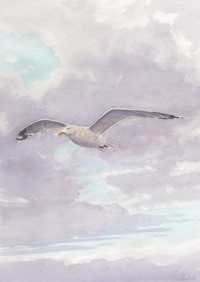 Original Aquarell -Landschaft,Sand,Natur,Strand,Meer, - Möwe im Flug - Bild 1 von 1