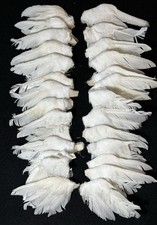 Lot of 14 Right 13 Left Feather Craft Wings Approx 4  X 2  Angels Vintage Used