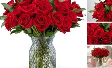 - 24 Long-Stemmed Red Roses Glass Vase Included - Fresh Flowers for Grand