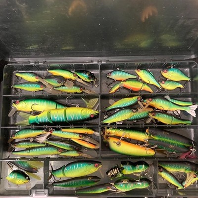 Megabass Matt Tiger Set | eBay
