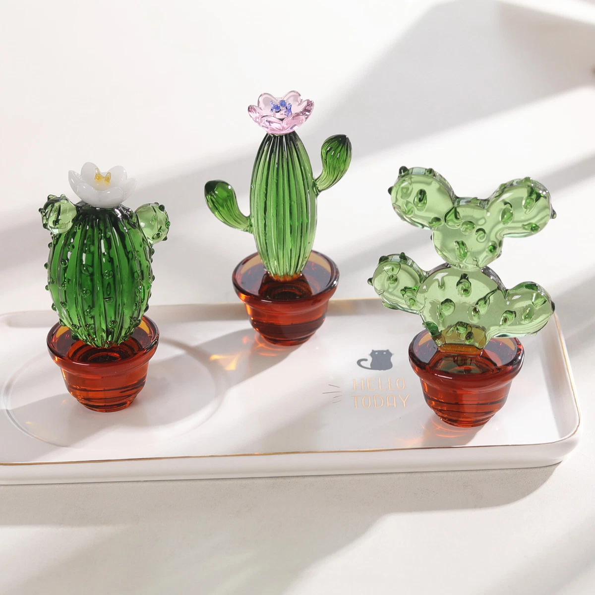Cactus for table deals