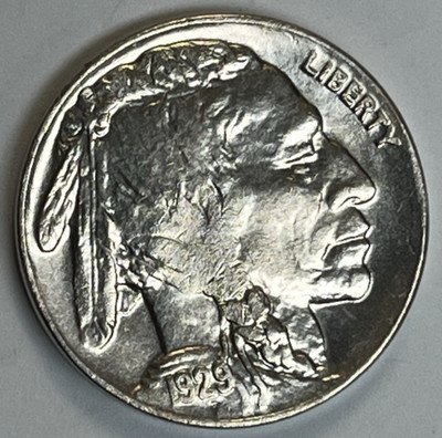 1929-D BUFFALO PRISTINE  GEM PL FIELDS FULL LUSTER *RARE *WELL STRUCK FOR ANY 29