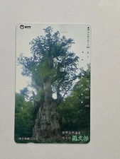 Okusugi World Natural Herita Telephone Cards Japanese 1991 japan NTT vintage