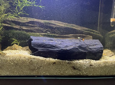 Pleco Breeding Cave Hide  3D Printed Aquarium Fish Cave  Bristlenose