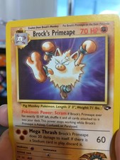 Image for Brock's Primeape