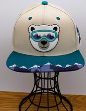 Explore by Lids Polar Bear Mountain Snapback Hat Adjustable Youth Cap Teal