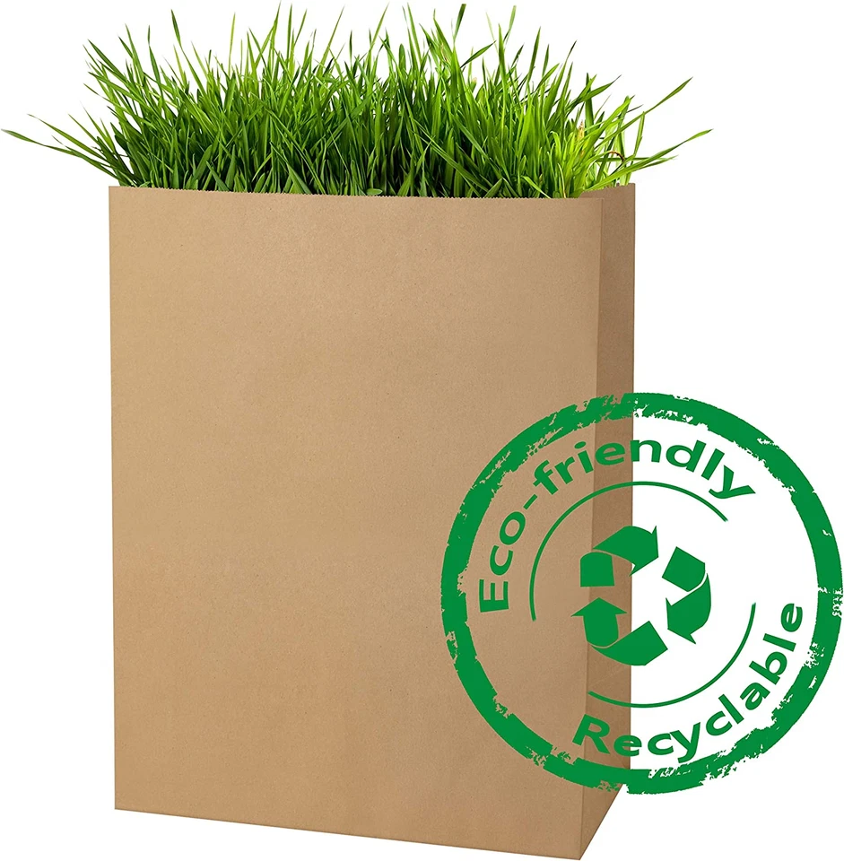 Bolsas de supermercado de papel marrón Kraft de alta resistencia 12X7X17 pulgadas 100 piezas Foto 4 de 4