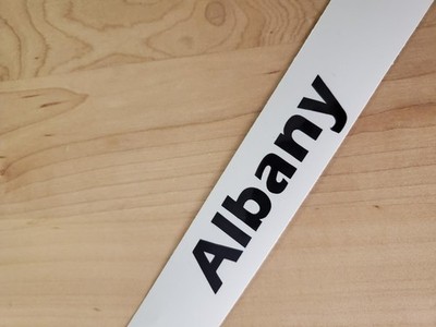 Albany decals stickers vinyl (2)  PAIR Gloss BLACK 10'' FAST USA