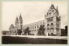 J.V. UK, London, Kensington, Natural History Museum Vintage Albumen Pri