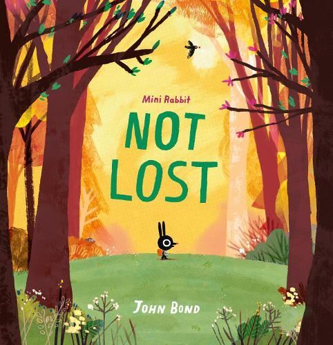 Mini Rabbit — Mini Rabbit Not Lost [Not-Us]