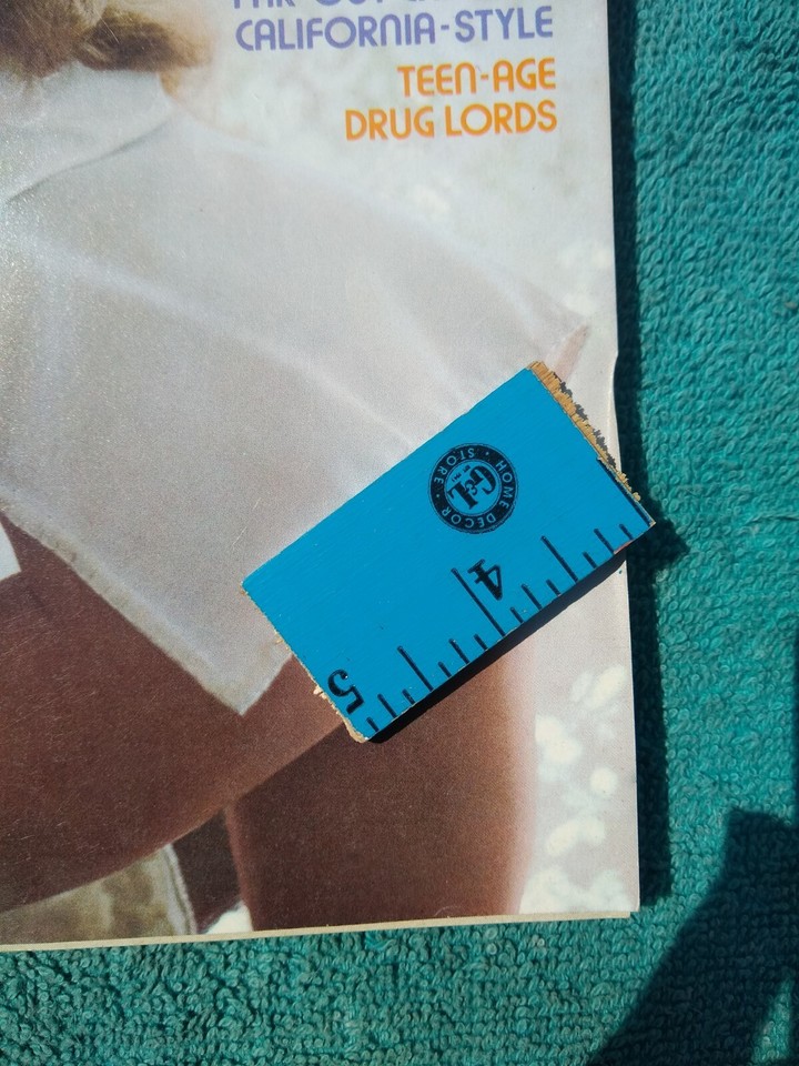 Vintage Penthouse Magazine August 1978 Jennifer Zane Center | eBay