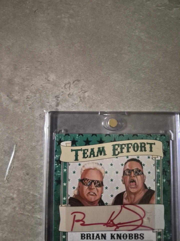 Nasty Boys Brian Knobbs/Jerry Sags 2016 Leaf Wrestling  Card Dual Auto  /25 - Image 2 of 4