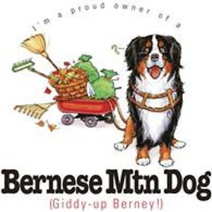 Bernese Mountain Dog Size Chart