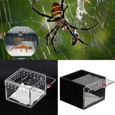 Reptile Terrarium Feeder Breeding Box Tortoise Spider Lizard