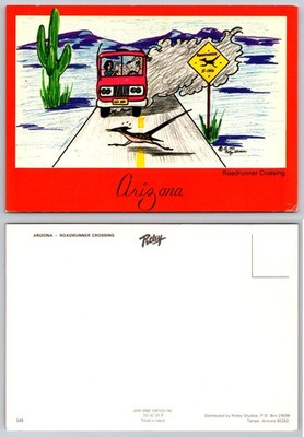 1985 Arizona Roadrunner Crossing Cartoon Postcard Petley Studios John Hinde
