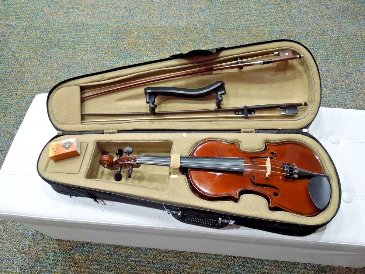 Beginner Violins Palatino 4/4 Size for sale | eBay