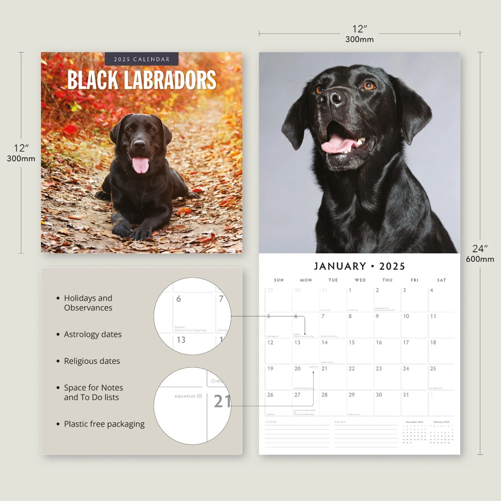Black Labradors 2025 Square Wall Calendar