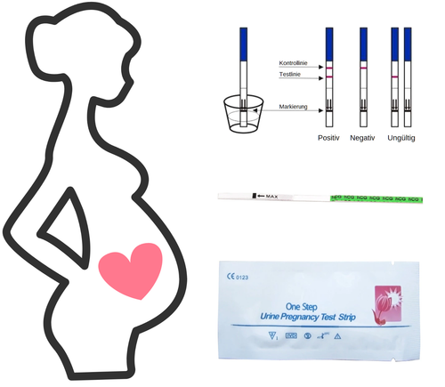 One Step Schwangerschaftstest/Frühtest 0 miu/ml Teststreifen
