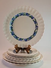 Spode Copeland England 10-Piece Plate Set Valencia S1248 EUC