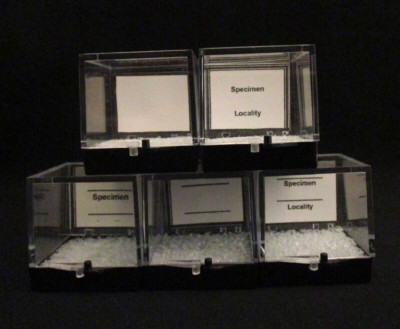 50-White Specimen Label Identification Labels For Perky Boxes E3960 | eBay