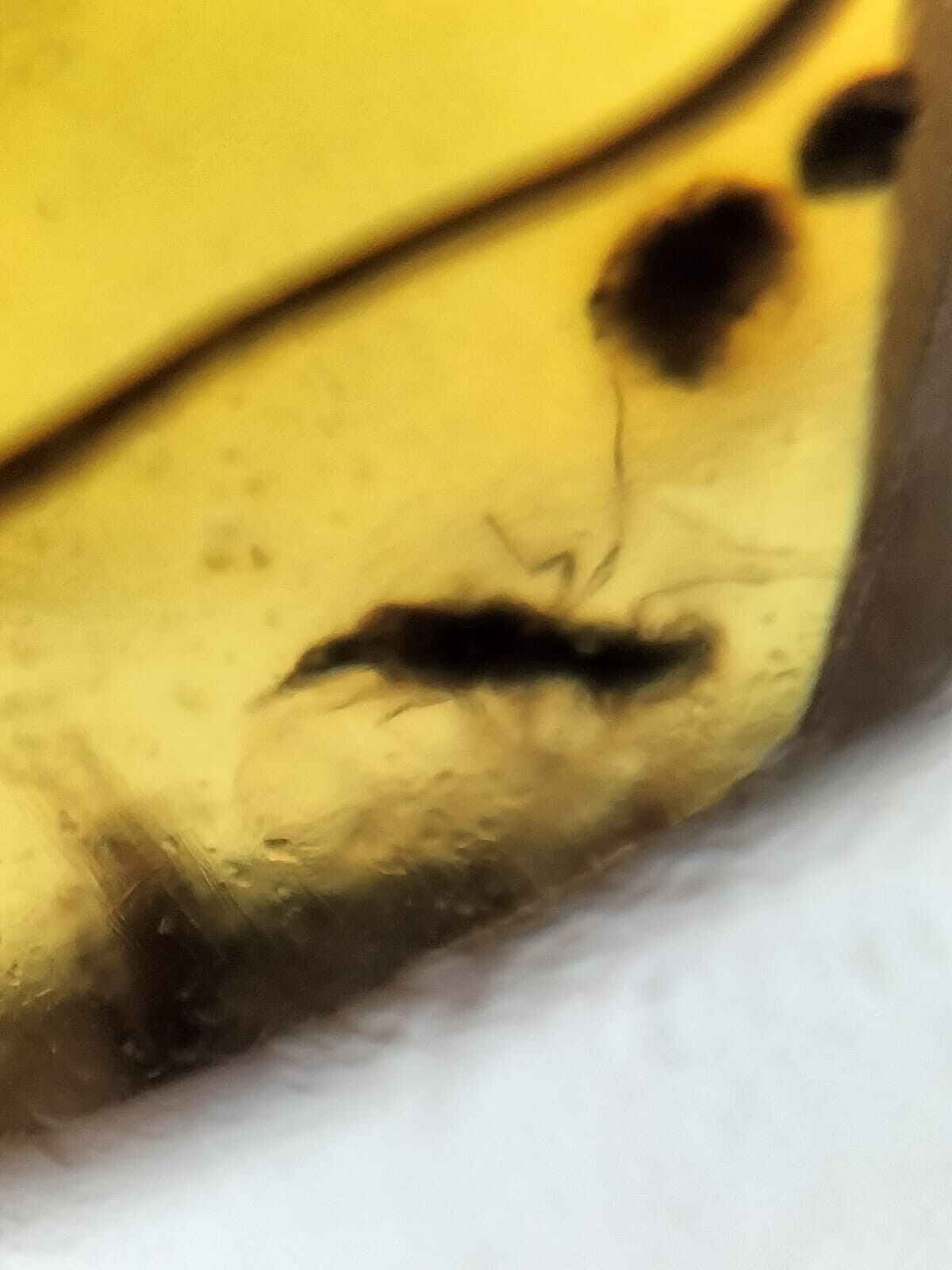 Picture 19 of 19
