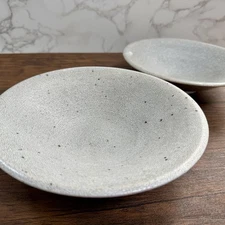 Mino Ware Pottery Deep Bowl Plate Kairagi Set of 2 Japan Sharkskin-like Pattern