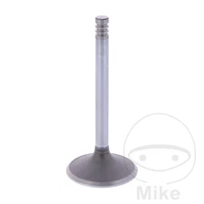 SIEBENROCK intake valve