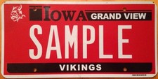 GRAND VIEW UNIVERSITY Vikings College license plate Des Moines Iowa Bud Bird GV