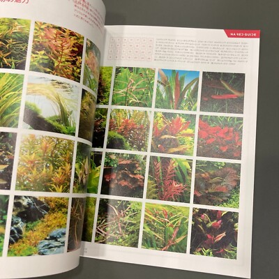 ADA Aqua Journal AJ No.336 Oct. 2023 Aqua Design Amano Japanese