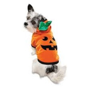 jack jack dog costume