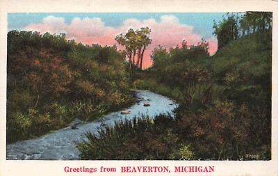 Beaverton MI Michigan Gladwin County Scenic Creek Sunset Vtg Postcard G36