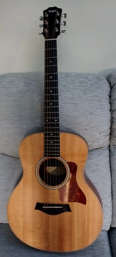 Taylor GS Mini