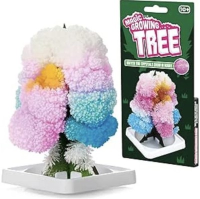 x5 Magic Tree Kristall wachsende Aktivitätssets 