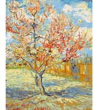 Paint By Numbers Adults kids Pink Peach Trees DIY Painting Kit 40x50CM Canvas