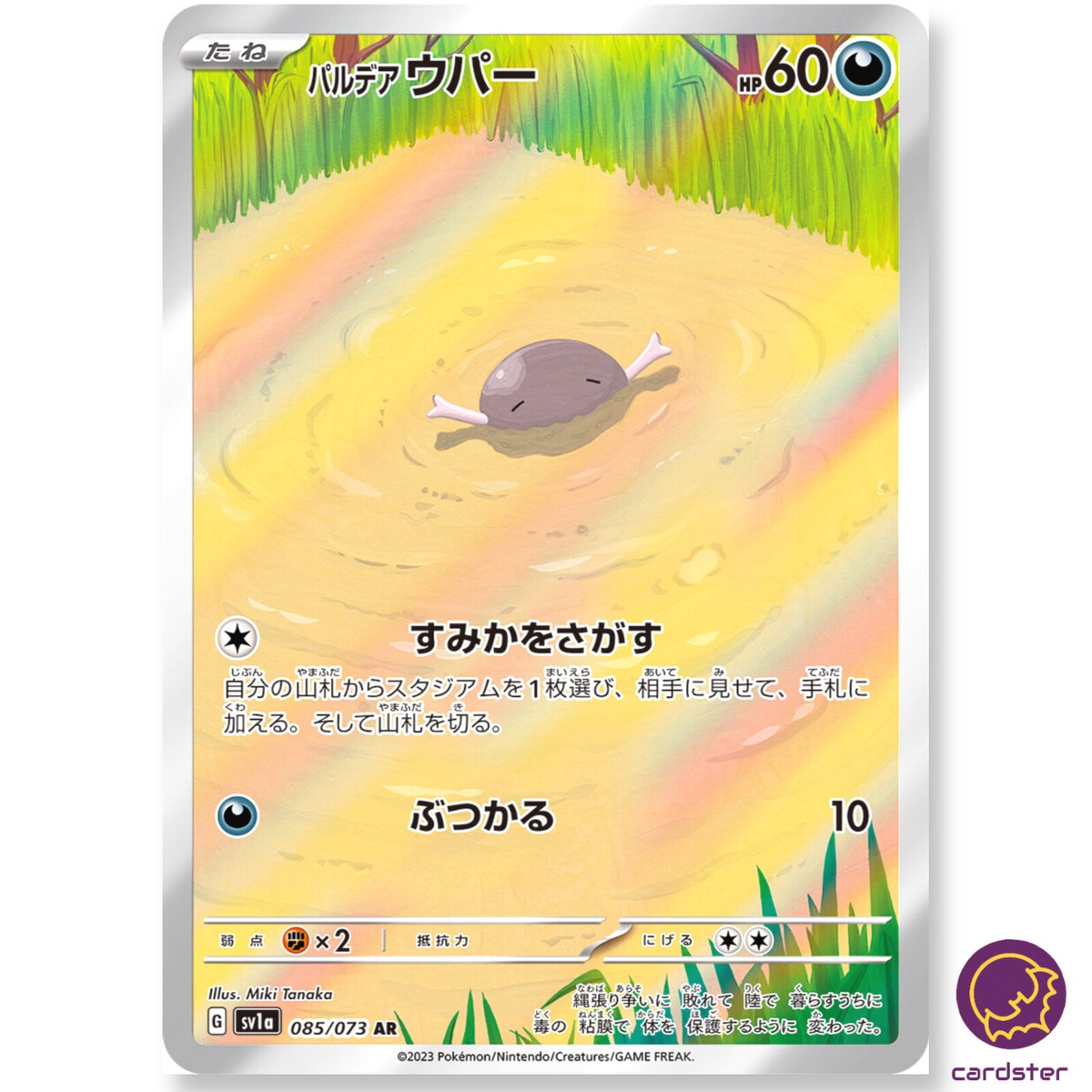 pow 파우 パウ　ダイアリー　トレカ Pelipper Pokemon Zukan Card Japanese Game Nintendo Anime No