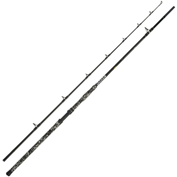 Wft Big Cat Spin Cat 2,70M 20-190G 2 Teile Wallerrute Welsrute Wels Angeln-image