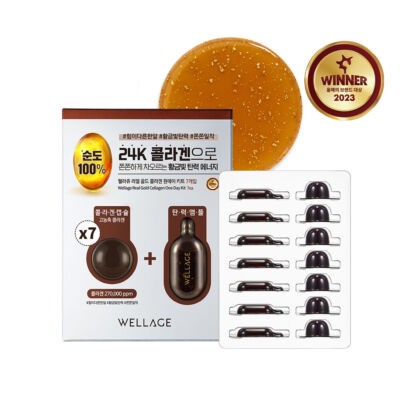 WELLAGE Real One Day Kit 7EA 100% pure hyaluronic acid ampoule K Beauty