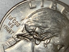 2022 P Sally Ride Womens American Quarter. MAJOR Strike through.