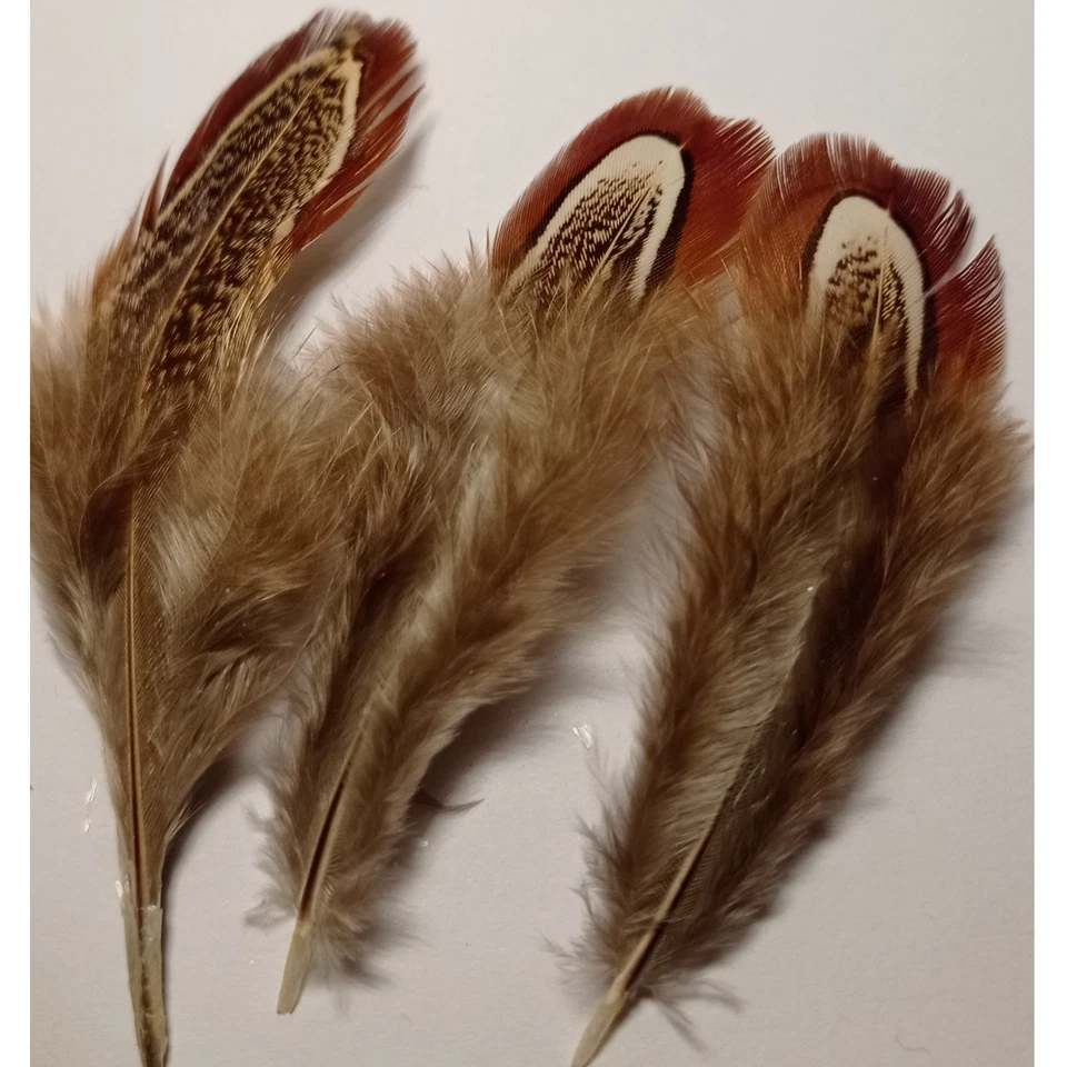 Flausch Federn mit Muster Braun 4cm - 8cm Basteln Echte Feder dunkel Basteln 5cm - Bild 2 von 4