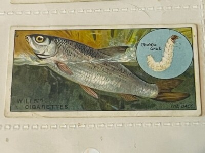WD HO Wills Cigarettes Tobacco Trading Card 1910 Fish Bait Lure Dace #21  grub