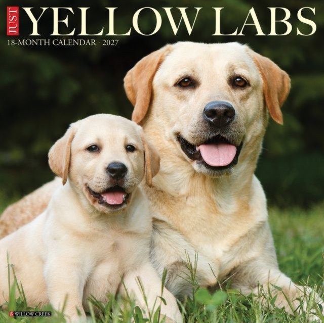 Yellow Labs 2027 Wall - Image 3