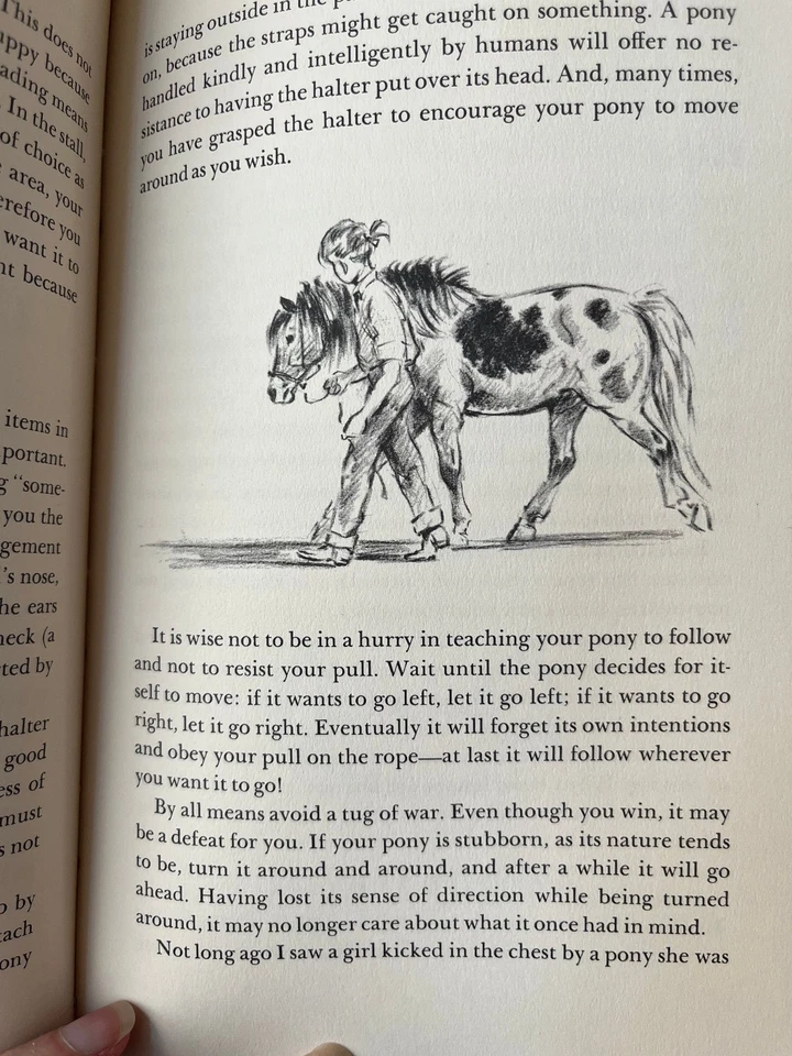 Your Pony Book By Herman Wiederhold Wesley Dennis Illustrator Hardcover 1958 - Image 2 of 4