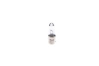 GlüHlampe Blinkleuchte Trucklight Ws Bosch 1 987 302 533 24V H21W 21W FüR Volvo